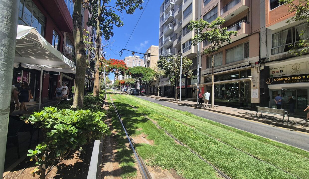 WhatsApp Image 2025-07-09 at 12.52.54 PM