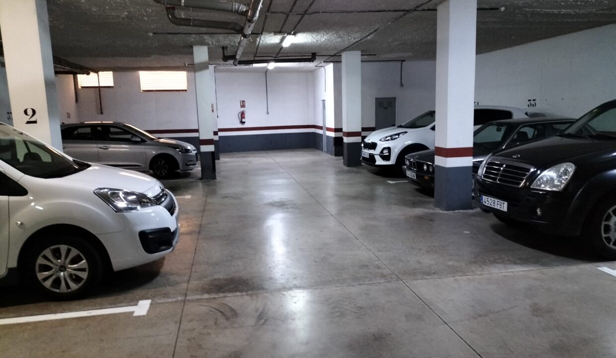 WhatsApp Image 2022-07-11 at 12.39.46 PM