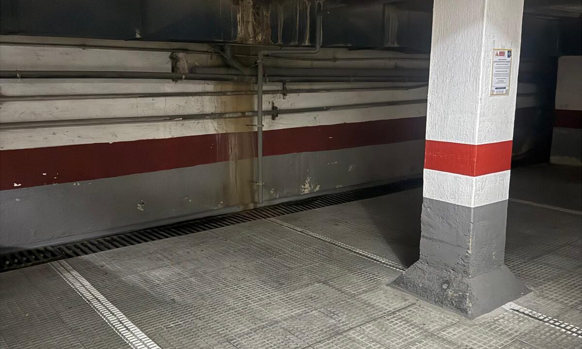 WhatsApp Image 2025-09-29 at 2.03.35 PM (1)