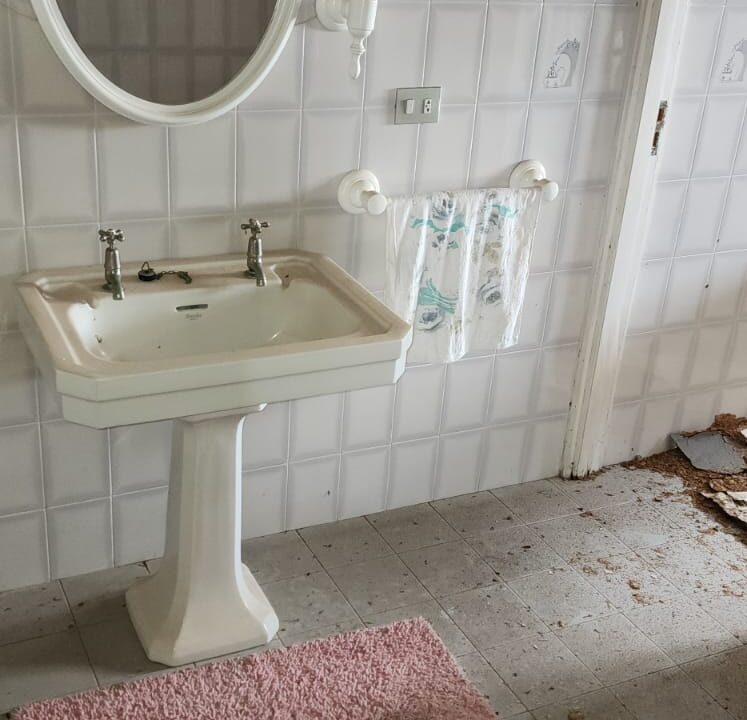 WhatsApp Image 2026-02-19 at 10.10.20 AM (1)