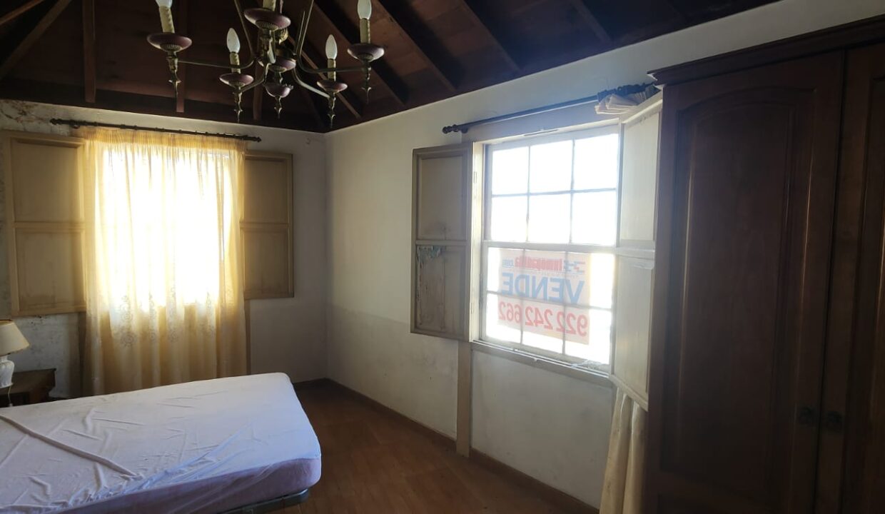 WhatsApp Image 2026-02-19 at 10.10.20 AM (3)