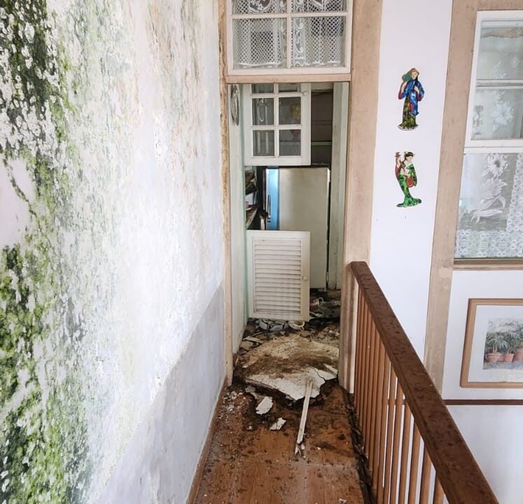 WhatsApp Image 2026-02-19 at 10.10.22 AM (1)