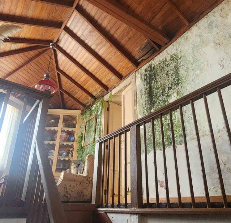 WhatsApp Image 2026-02-19 at 10.10.22 AM