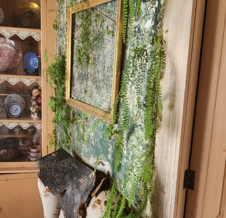 WhatsApp Image 2026-02-19 at 10.10.25 AM (2)